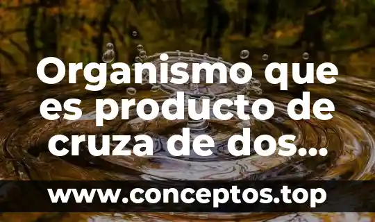 Que es la creacion de la idea de un producto 6 Organismo que es producto de cruza de dos individuos diferentes