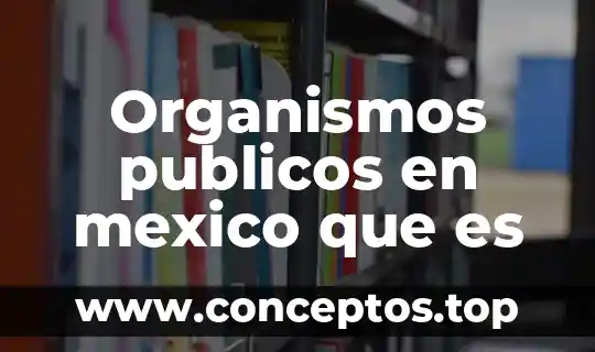 Organismos publicos en mexico que es
