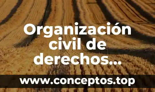 Organización civil de derechos humanos que es