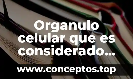 Organulo celular que es considerado como maquina de celula