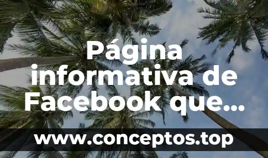 Que es lo que hace que una pagina sea dinamica 3 Página informativa de Facebook que es