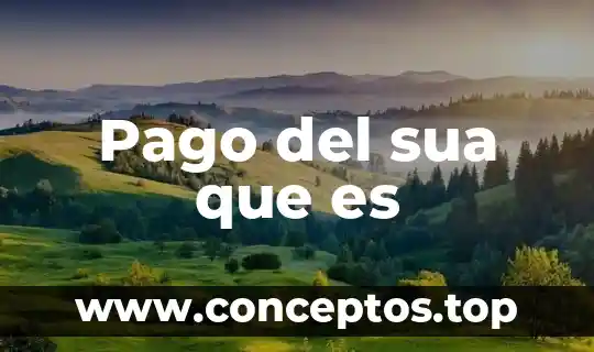 Que es la administracion de pago 8 Pago del sua que es