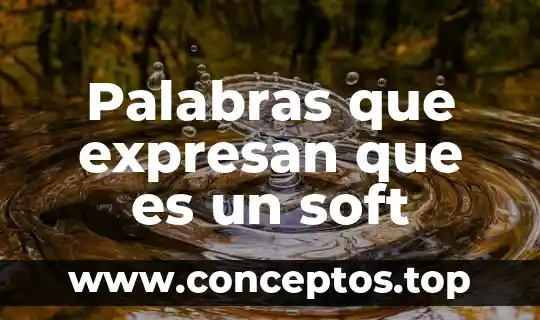 Palabras que expresan que es un soft