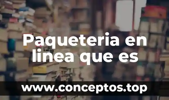 Paqueteria en linea que es