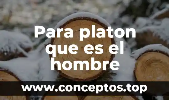 Para platon que es el hombre