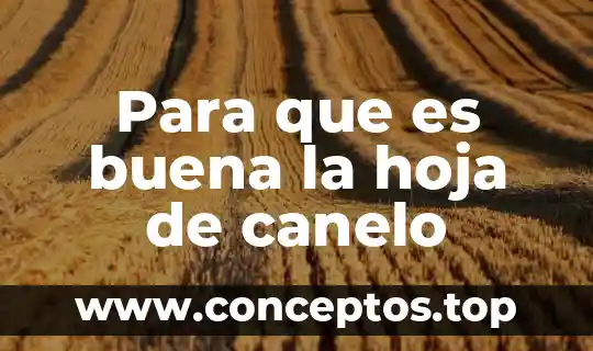 Para que es buena la hoja de canelo