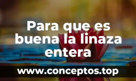 Para que es buena la linaza entera