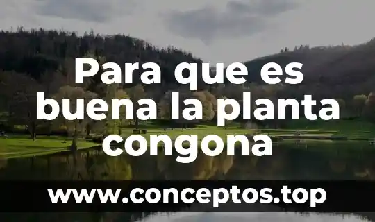 Para que es buena la planta congona