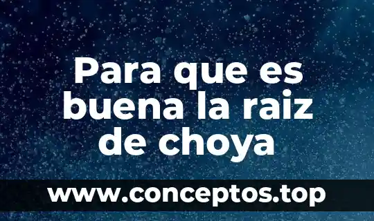 Para que es buena la raiz de choya