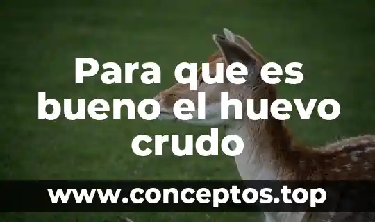 Para que es bueno el huevo crudo