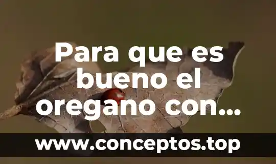 Para que es bueno el oregano con leche