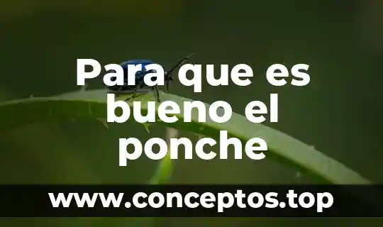 Para que es bueno el ponche