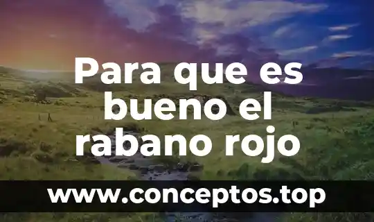 Para que es bueno el rabano rojo