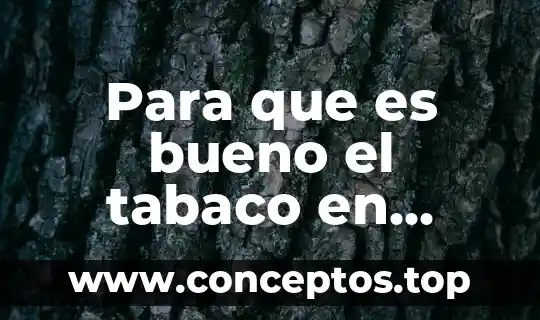 Polvo color café claro tipo harina que es 3 Para que es bueno el tabaco en polvo