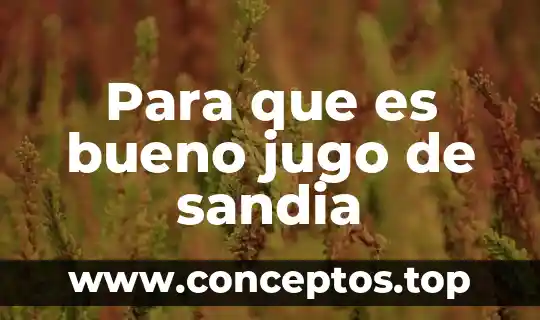 Para que es bueno jugo de sandia