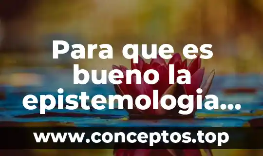 Para que es bueno la epistemologia y el conocimiento