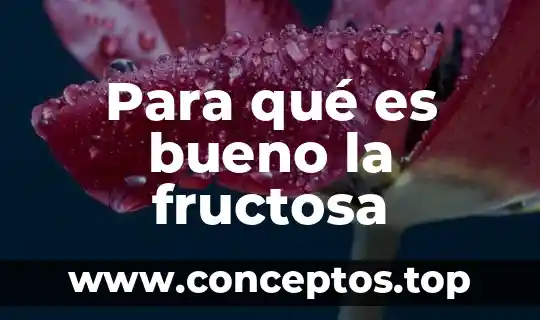 Para qué es bueno la fructosa