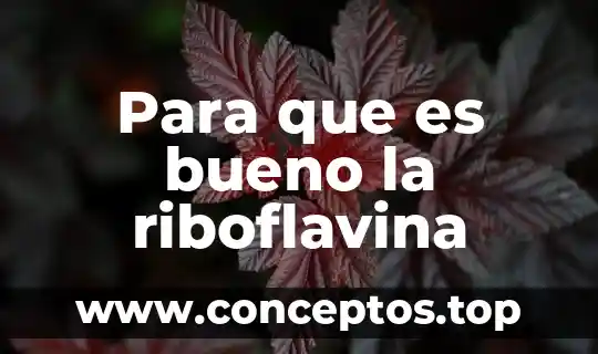 Que es bueno para aguantar el sueño 5 Para que es bueno la riboflavina