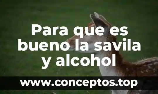 Para que es bueno la savila y alcohol