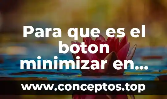 Qué es un botón en Flash y sus tipos 5 Para que es el boton minimizar en excel