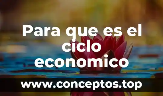 Para que es el ciclo economico