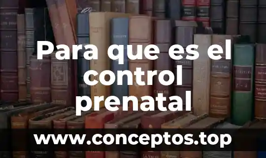 Que es un sistema de control diseno de detalle 3 Para que es el control prenatal