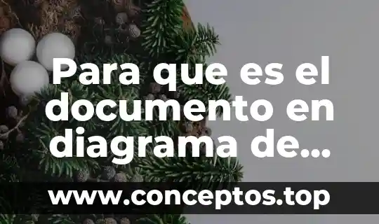 Para que es el documento en diagrama de flujo