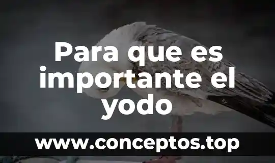 Para que es importante el yodo