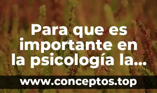 Para que es importante en la psicología la estadística descriptiva