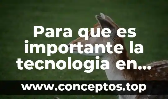 Para que es importante la tecnologia en el entretenimiento