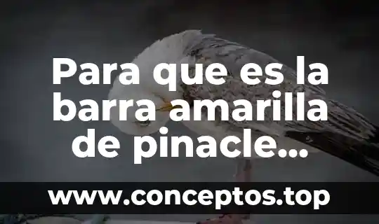 Para que es la barra amarilla de pinacle estudio