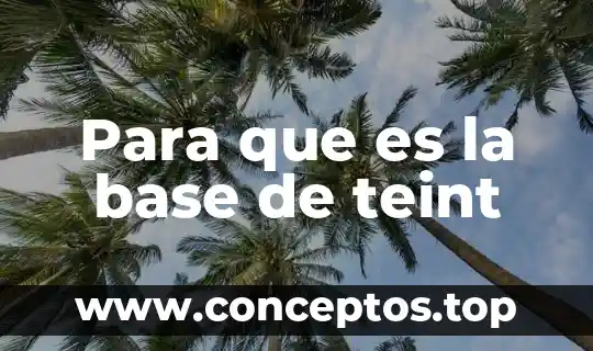 Que es una base de chift 5 Para que es la base de teint