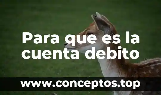 Para que es la cuenta debito