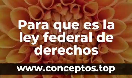 Para que es la ley federal de derechos