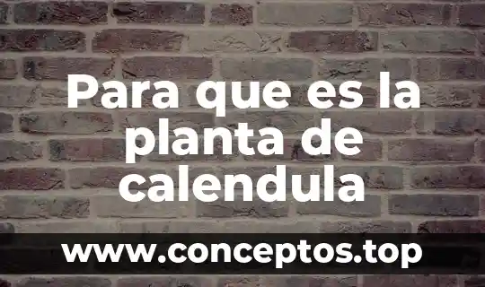 Para que es la planta de calendula