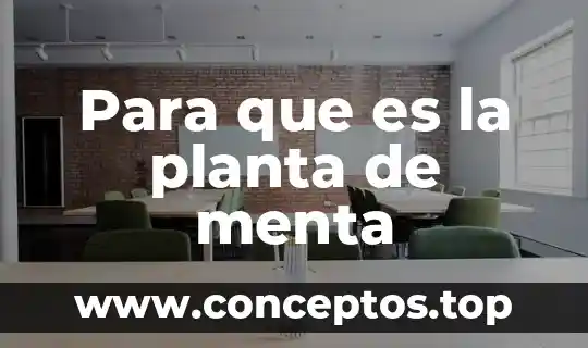 Tipo de planta que es la menta 5 Para que es la planta de menta