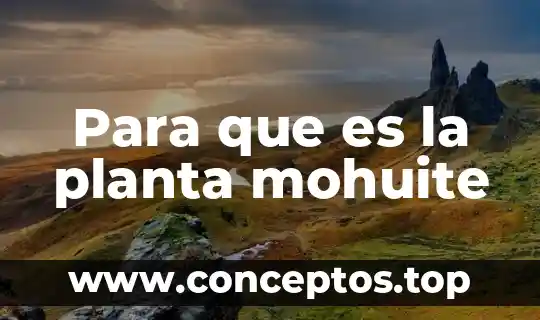 Que es fallos de una planta 5 Para que es la planta mohuite