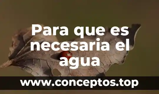 Para que es necesaria el agua