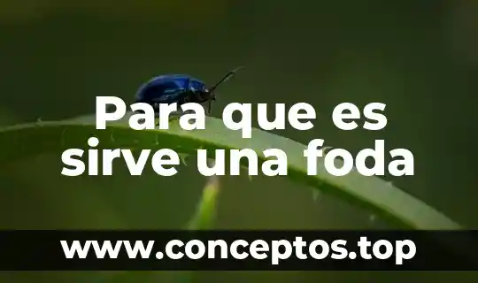 Pantalla arduino tft tactil que es y para que sirve 3 Para que es sirve una foda