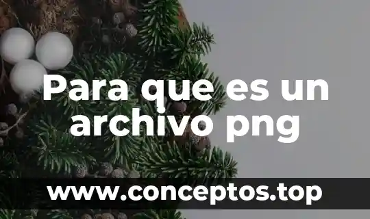 Para que es un archivo png