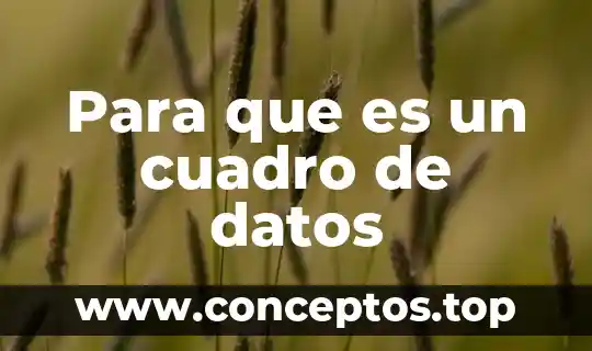 Para que es un cuadro de datos