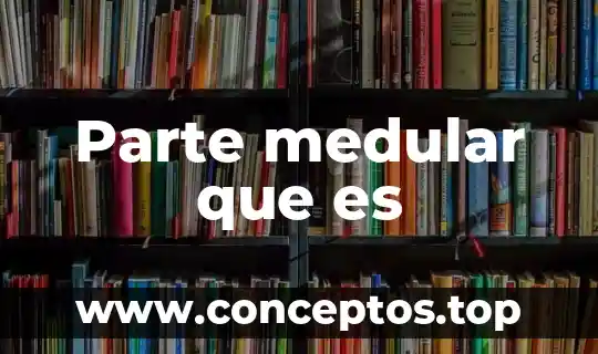Parte medular que es