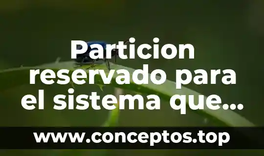 Particion reservado para el sistema que es
