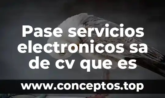 Cv que es en agua 4 Pase servicios electronicos sa de cv que es