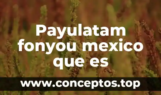 Payulatam fonyou mexico que es
