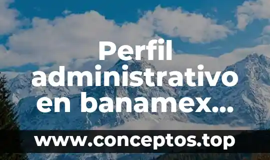 Perfil administrativo en banamex que es
