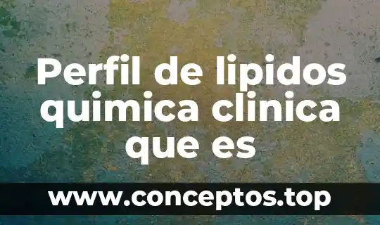 Perfil de lipidos quimica clinica que es