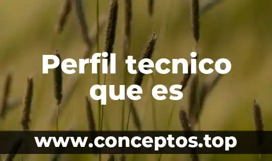 Perfil tecnico que es