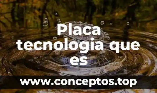 Placa tecnologia que es