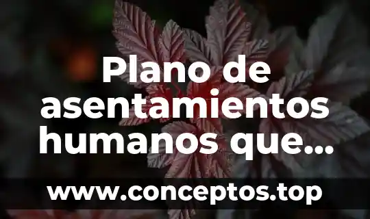 Plano de asentamientos humanos que es